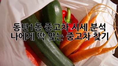 동탄1동 중고차 시세 분석: 나에게 딱 맞는 중고차 찾기