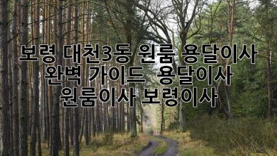 보령 대천3동 원룸 용달이사 완벽 가이드 🚚💨 #용달이사 #원룸이사 #보령이사